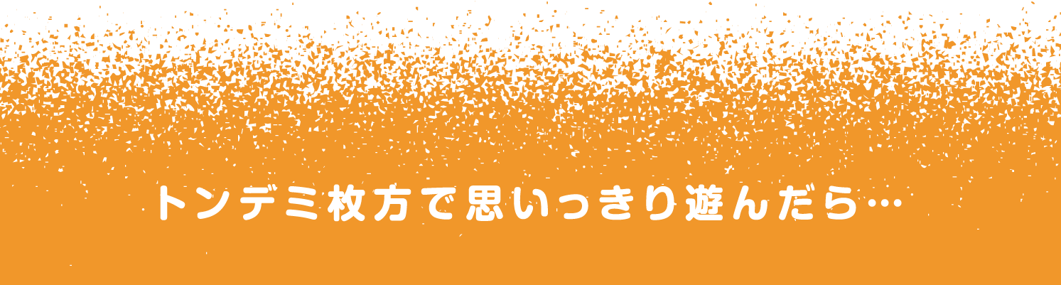 トンデミ枚方で思いっきり遊んだら…