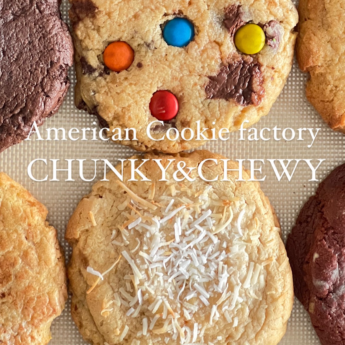 【POPUP】CHUNKY&CHEWY