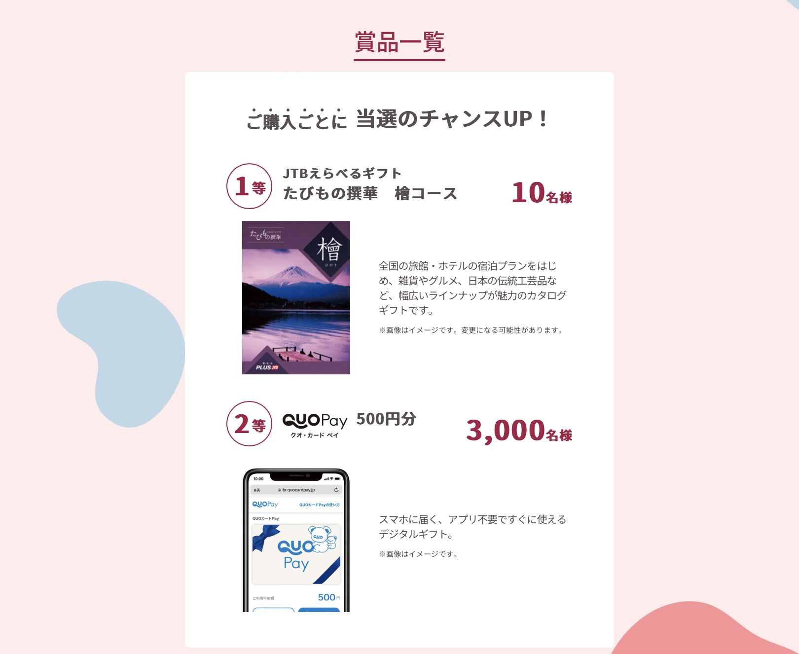 メンバーシップ会員限定キャンペーン!