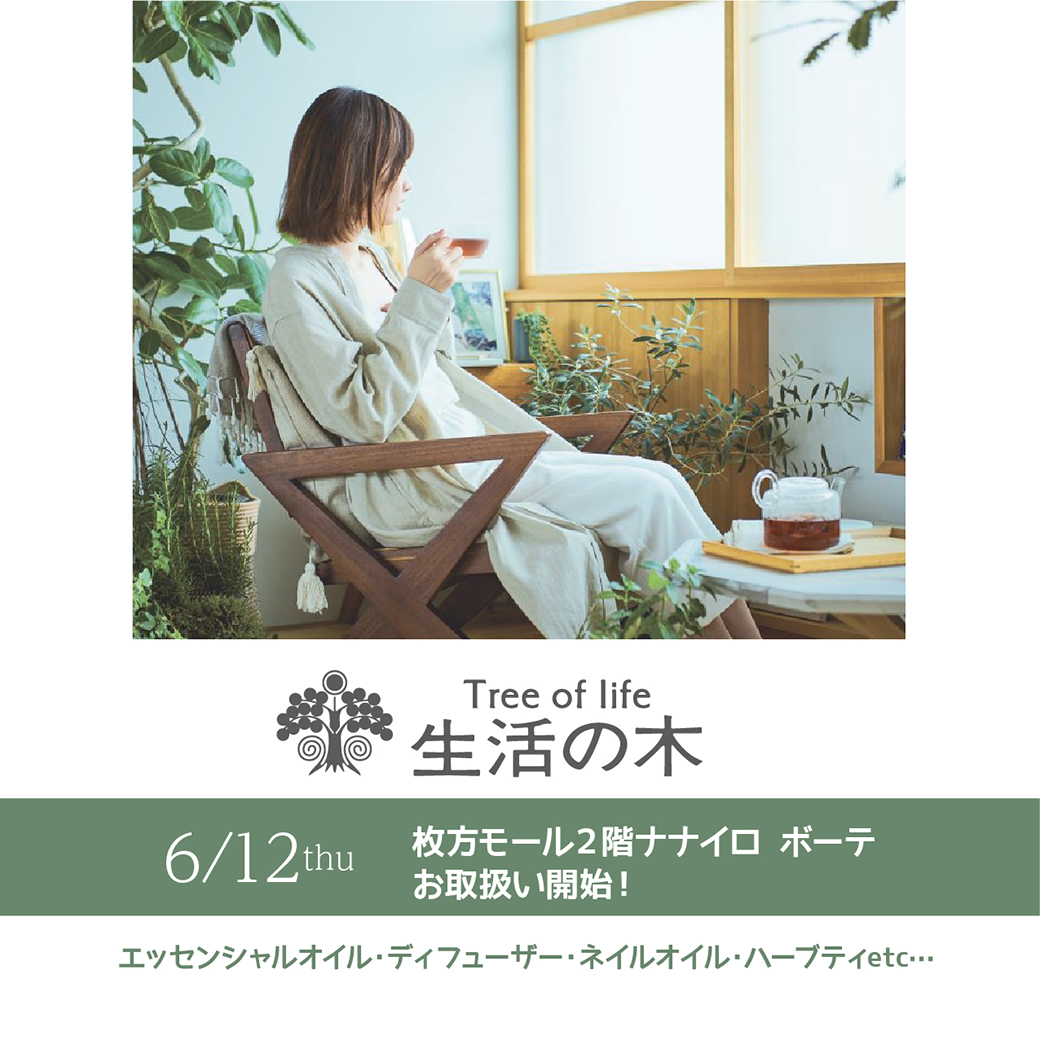 6/12 debut「生活の木」