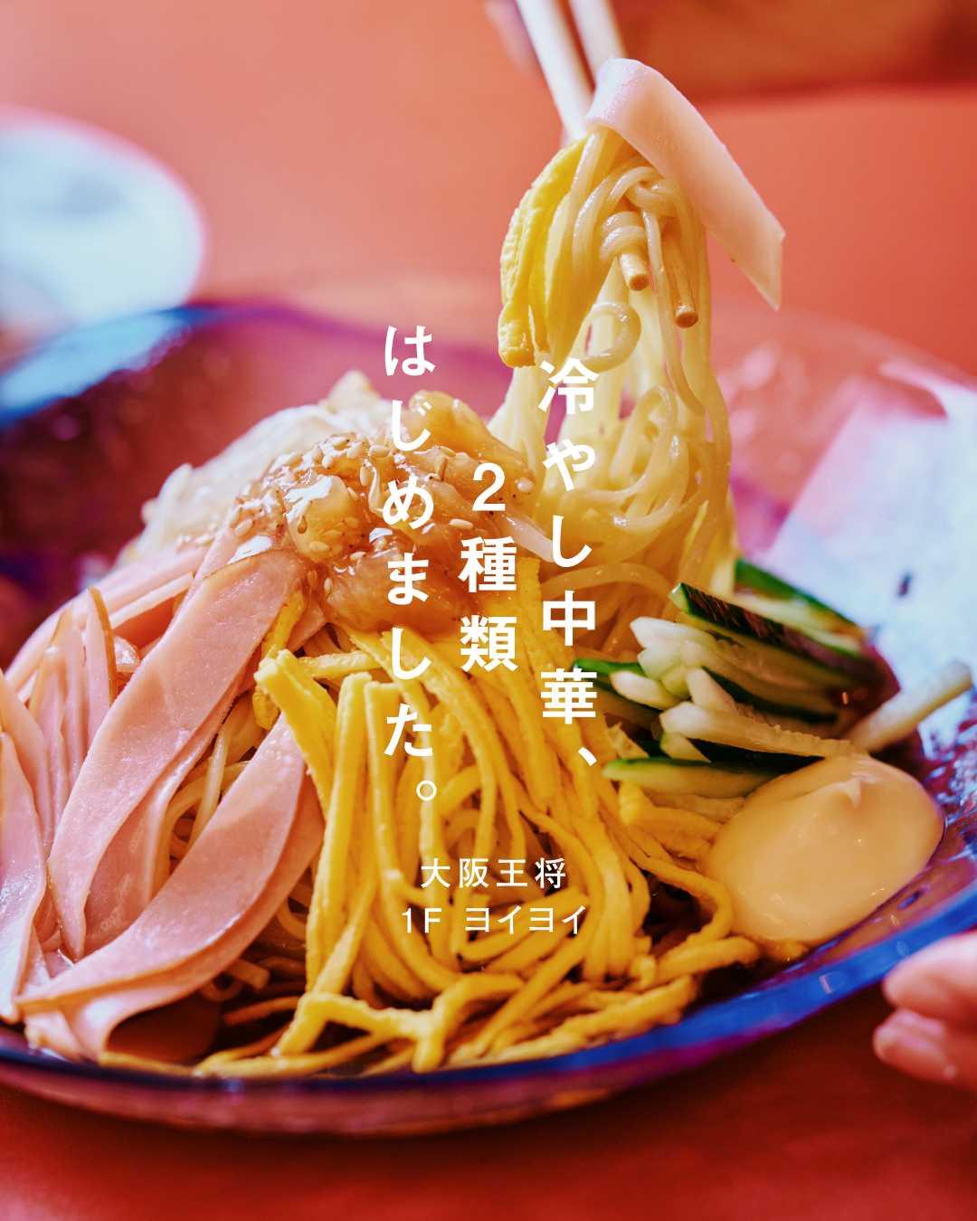 ＼ 夏 の 風 物 詩 ／  　⚫︎ 冷やし中華、2種類はじめました ⚫︎（大阪王将）