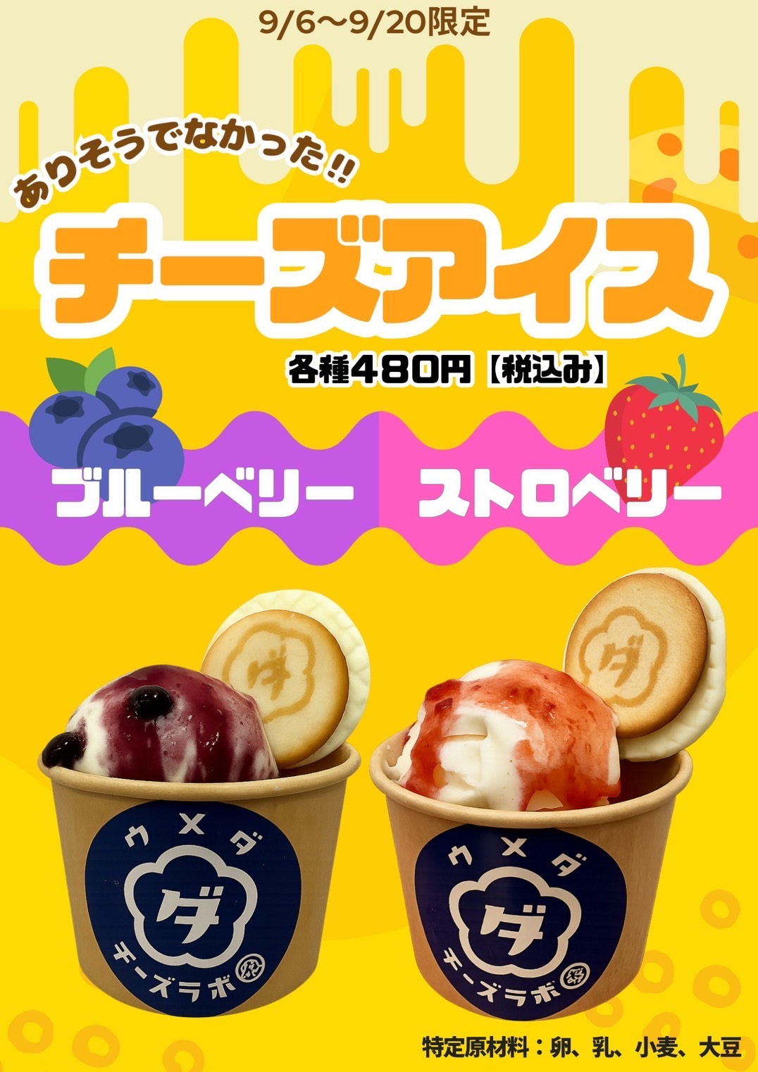 ワンコインで贅沢チーズアイス