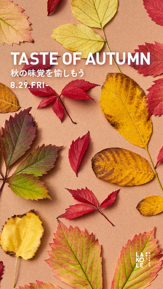 LAKOLE 秋の味覚シリーズ　スタート！