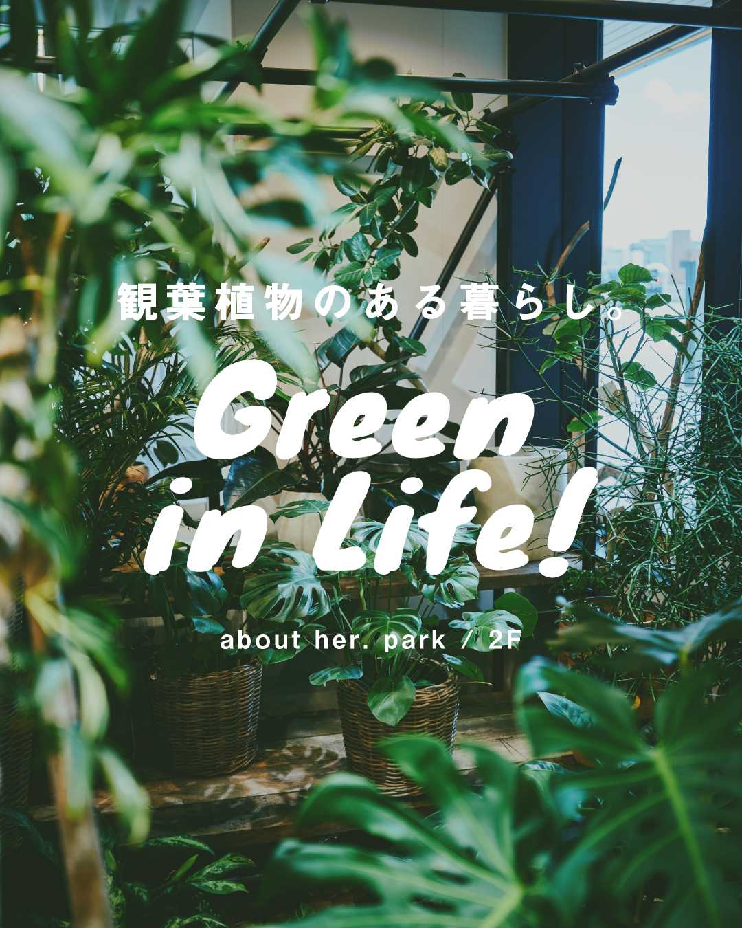 ＼ Green in Life! ／ 　　● 観葉植物のある暮らし。●(about her. park)