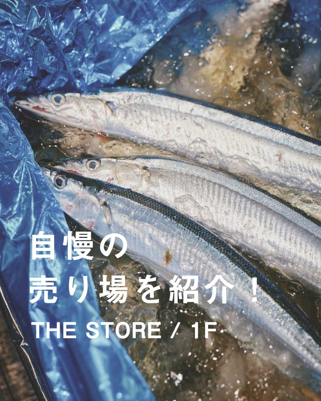 ＼ 次世代スーパーマーケット ／ 　☀︎ THE STORE 自慢の売り場を紹介！ ☀︎