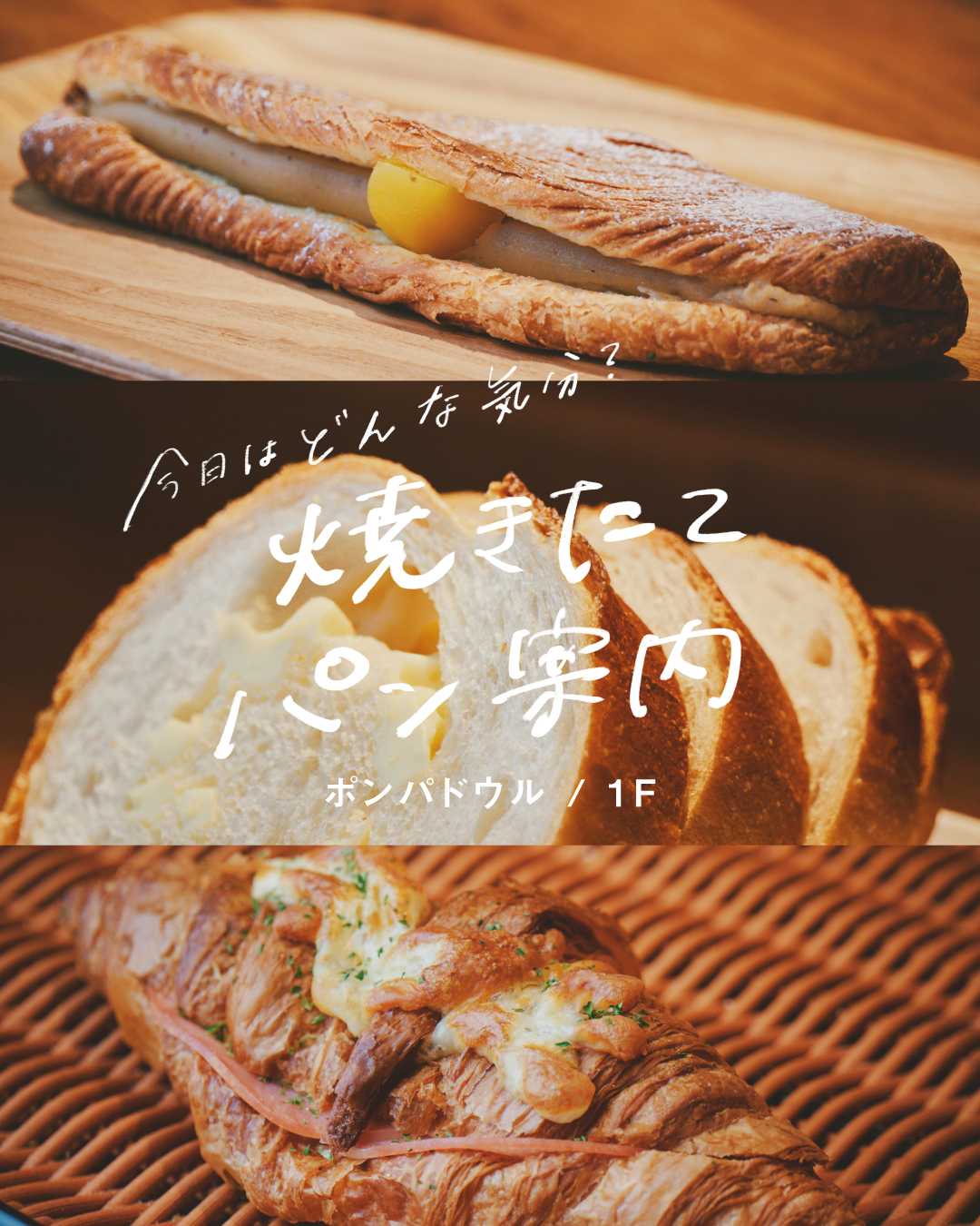 \ 今日はどんな気分? / ♦︎ ポンパドウルの焼きたてパン案内 ♦︎(ポンパドウル)