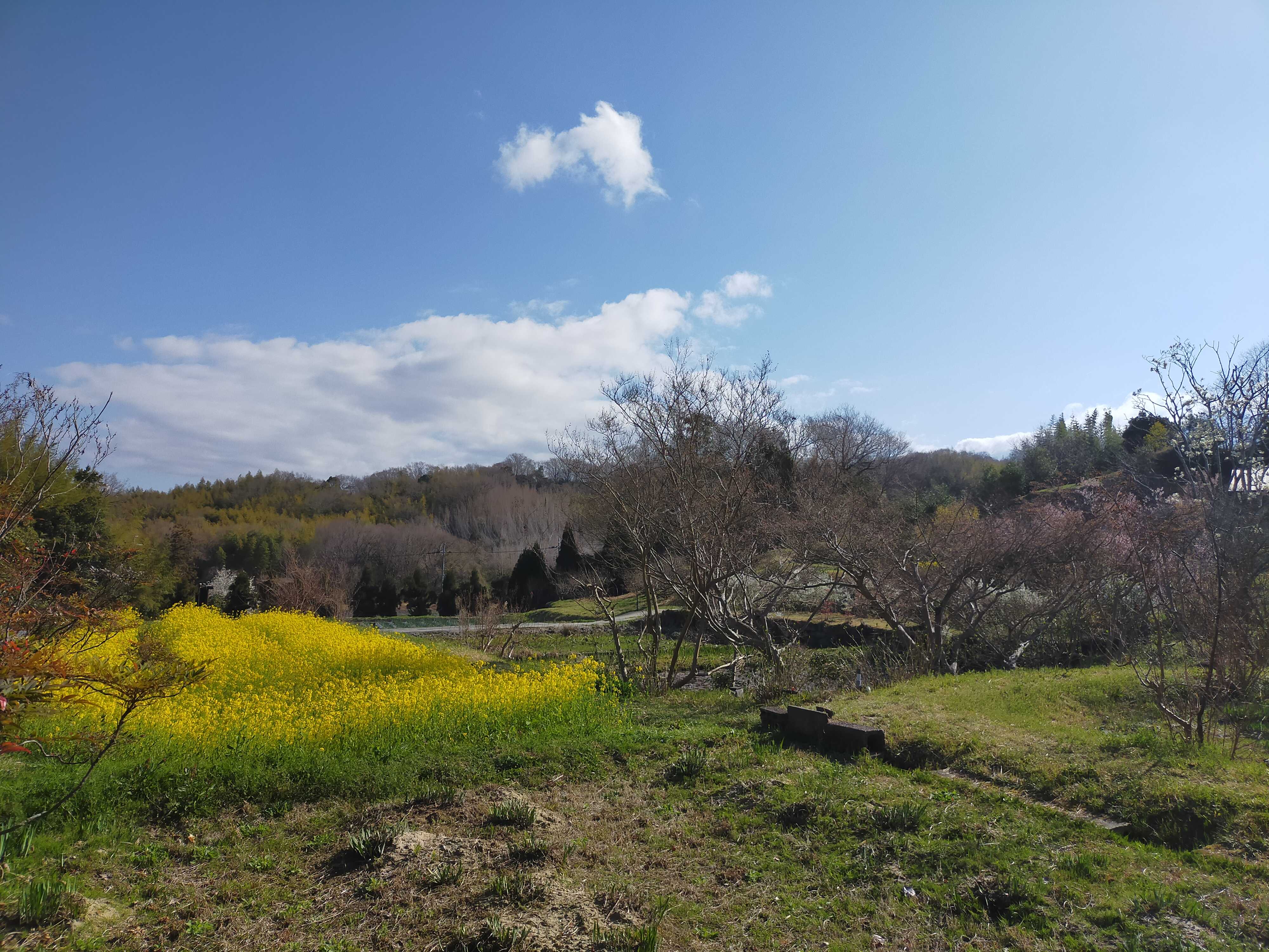   ちょっと 一服しよか。　A Moment of Rest from the Fields 
