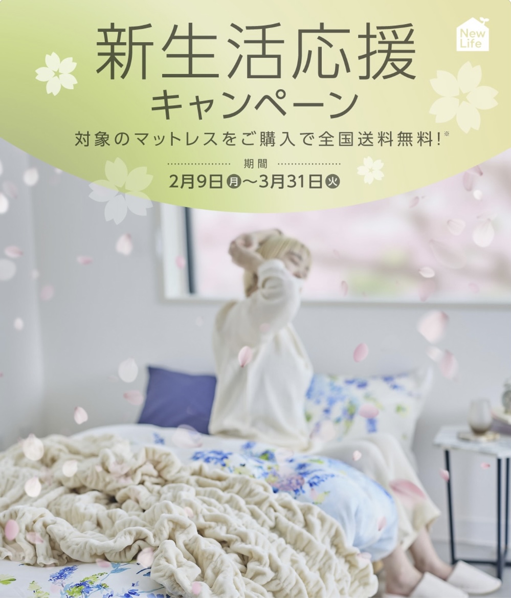 お得に新生活スタート｜今だけ送料無料！