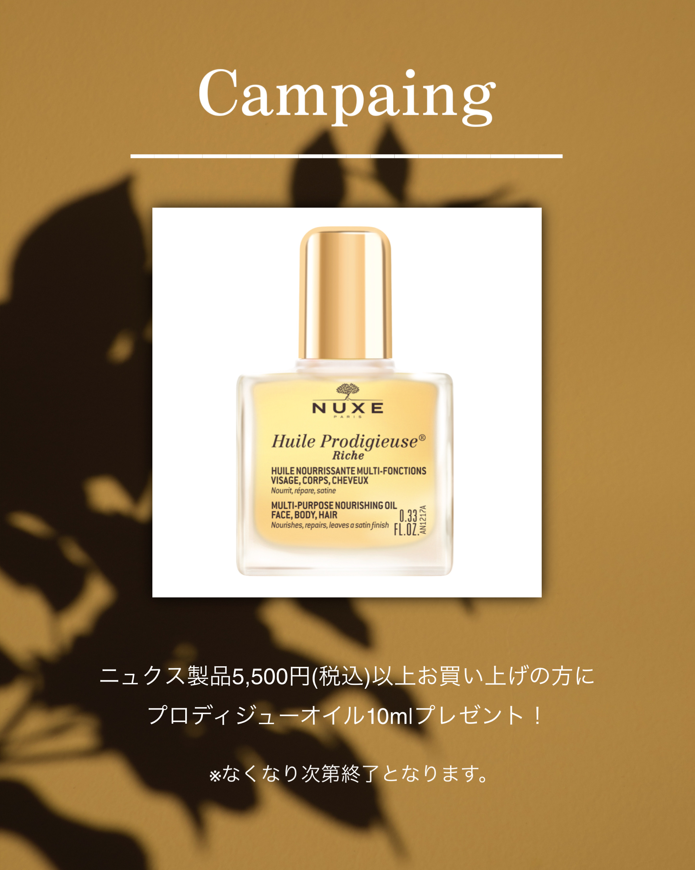 BEAUTEdeBLEUE キャンペーン情報☆