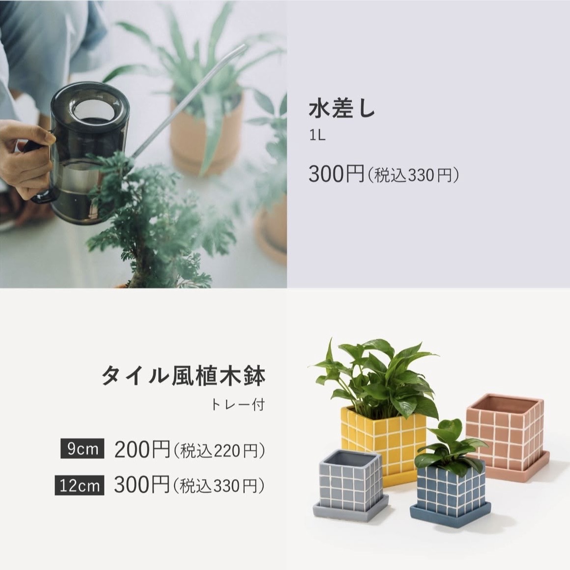 園芸を楽しく❗️