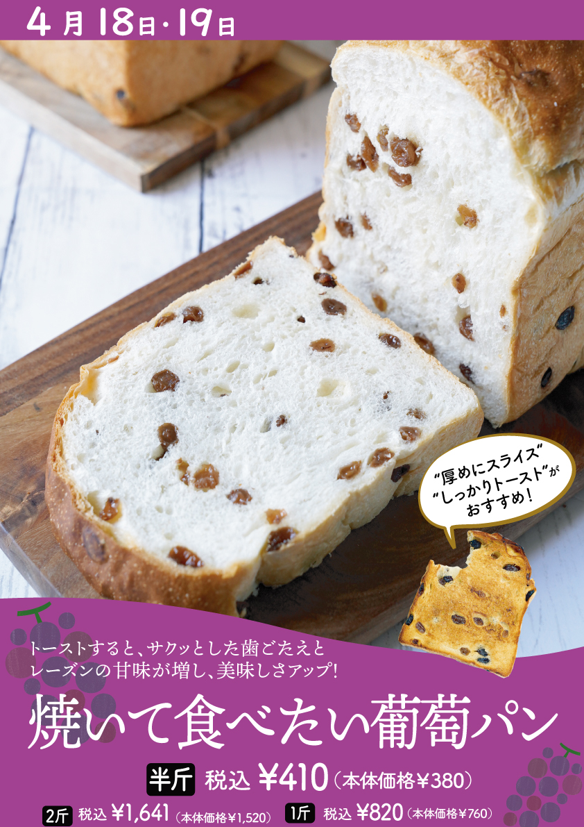 ポンパドウル 18.19日の2日間限定のパン