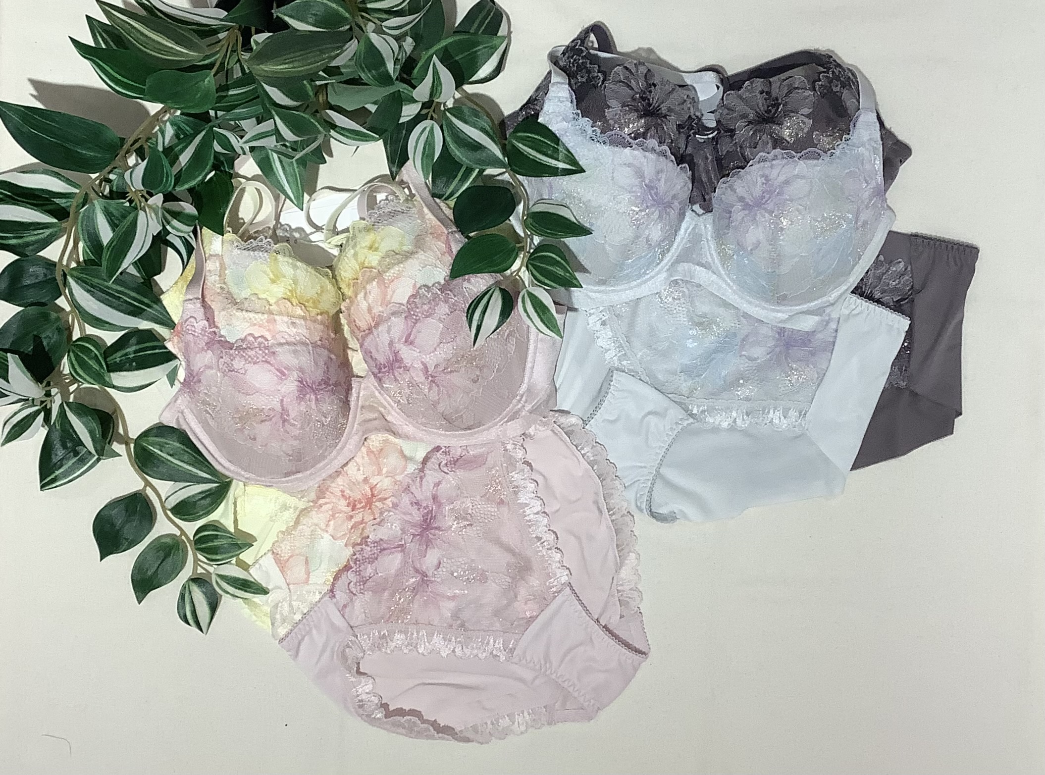 天使のブラ®️魔法のハリ感新作登場