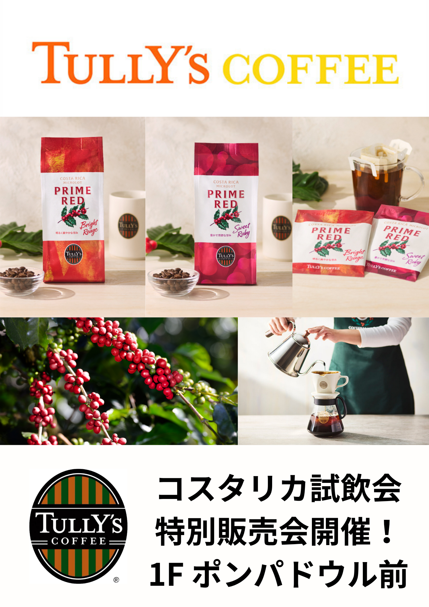 ＼コスタリカ特別販売開催決定！！   9月17日、18日 10:30～17:00  1Fポンパドウル前  ／