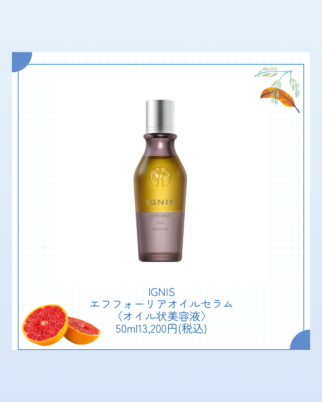 伝統植物の知恵