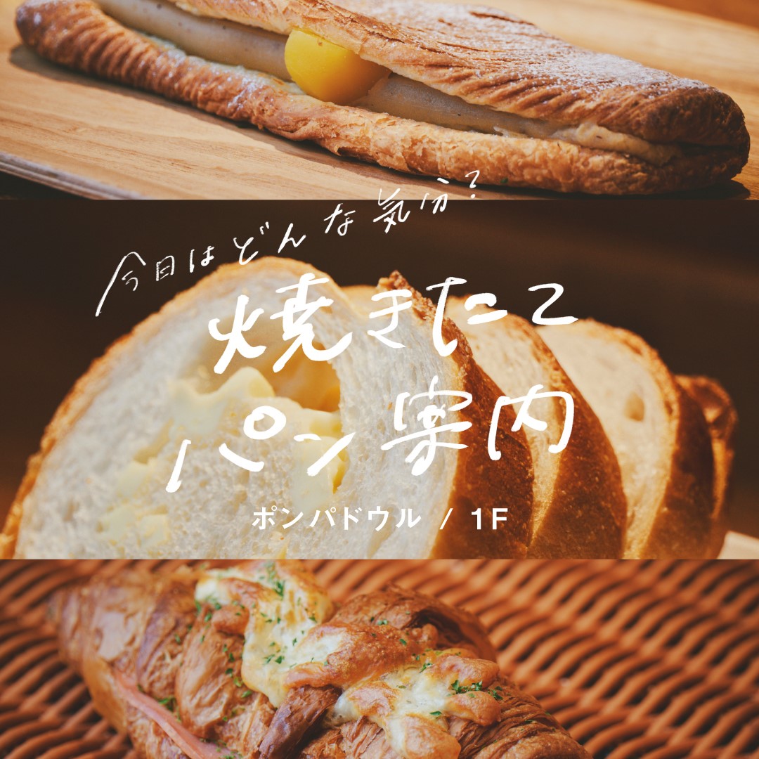 November MONTHLY RECOMMEND